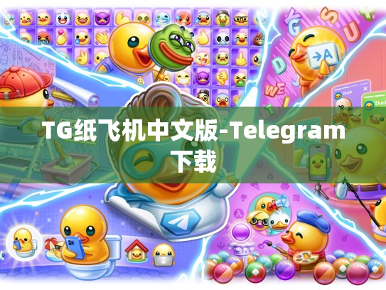 TG纸飞机中文版-Telegram下载