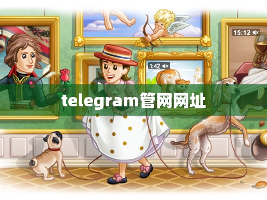 telegram管网网址