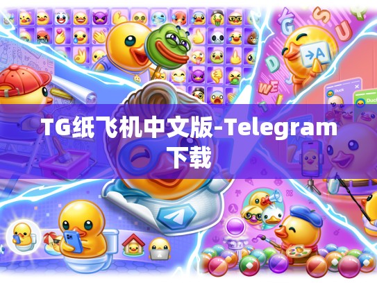 TG纸飞机中文版-Telegram下载