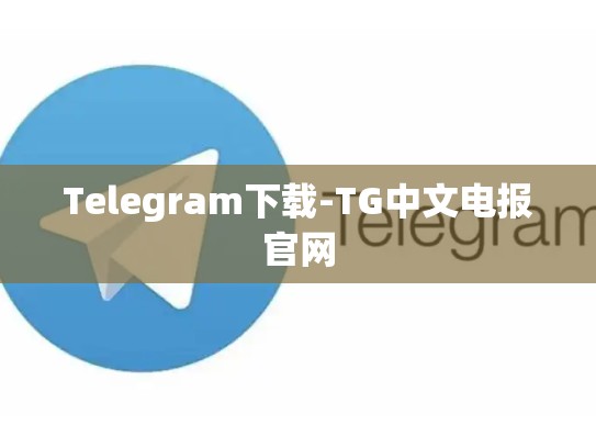 Telegram下载-TG中文电报官网