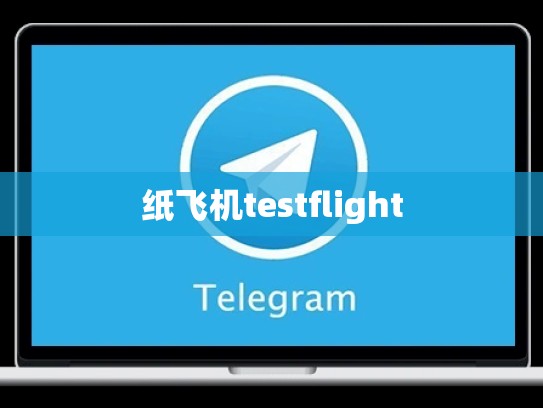 纸飞机testflight