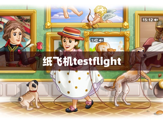 纸飞机testflight