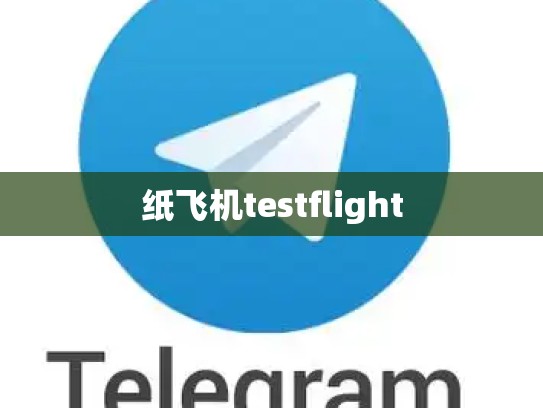纸飞机testflight