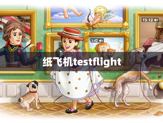 纸飞机testflight