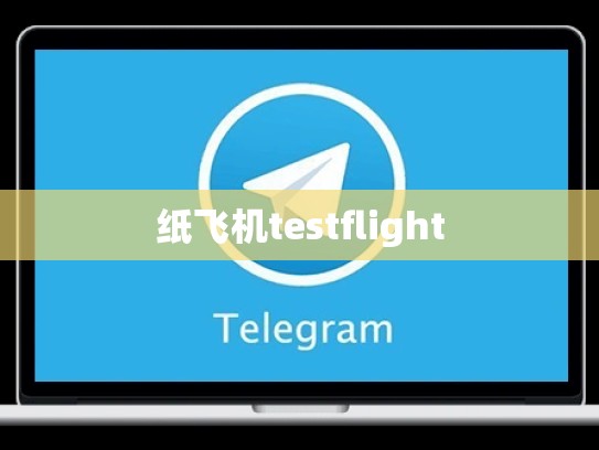 纸飞机testflight