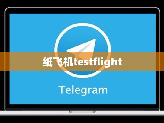 纸飞机testflight
