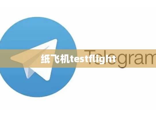 纸飞机testflight