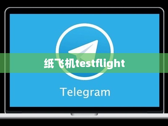 纸飞机testflight