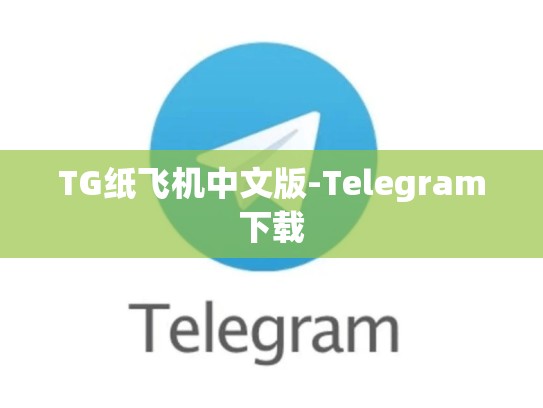 TG纸飞机中文版-Telegram下载