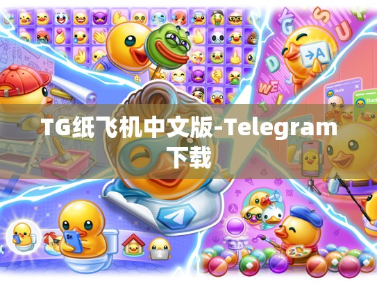 TG纸飞机中文版-Telegram下载