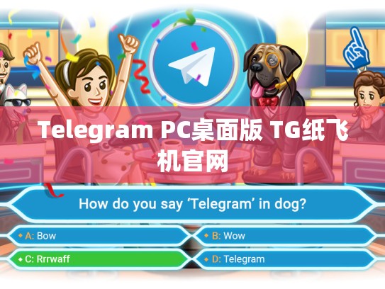 Telegram PC桌面版 TG纸飞机官网