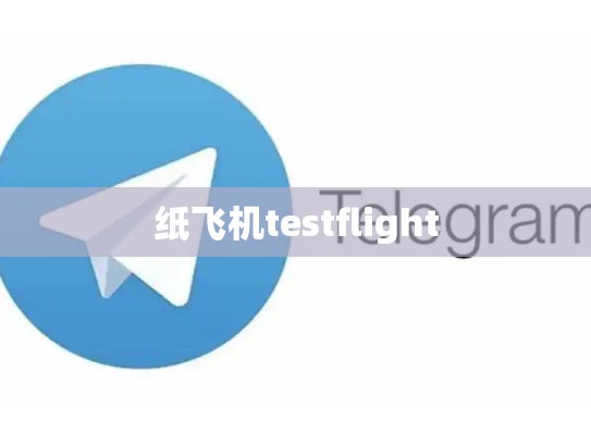 纸飞机testflight