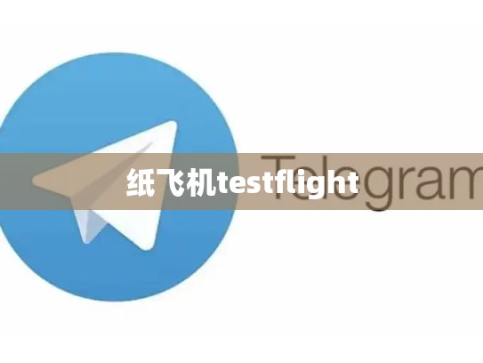 纸飞机testflight