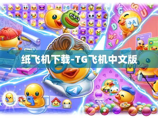 纸飞机下载-TG飞机中文版