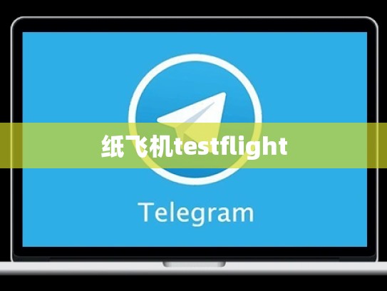 纸飞机testflight