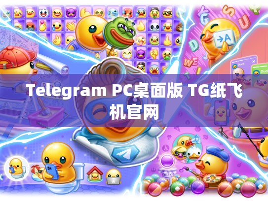 Telegram PC桌面版 TG纸飞机官网