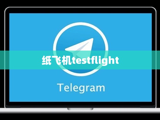 纸飞机testflight