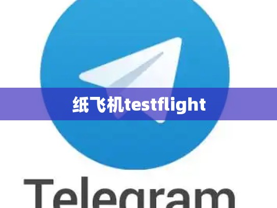 纸飞机testflight