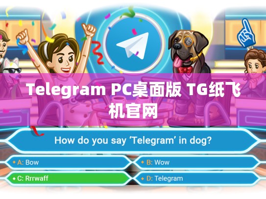Telegram PC桌面版 TG纸飞机官网