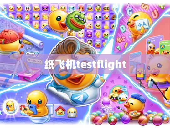 纸飞机testflight