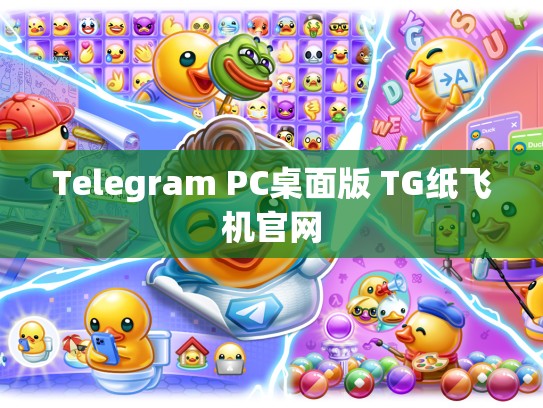 Telegram PC桌面版 TG纸飞机官网