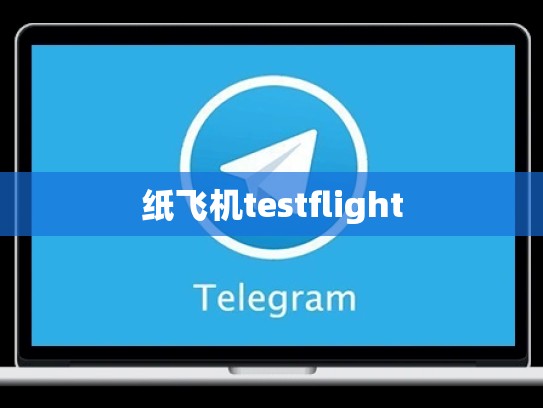 纸飞机testflight