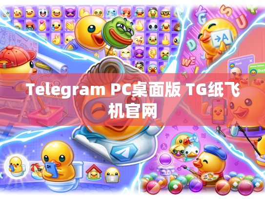 Telegram PC桌面版 TG纸飞机官网