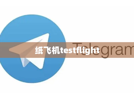 纸飞机testflight