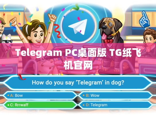 Telegram PC桌面版 TG纸飞机官网