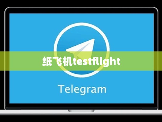 纸飞机testflight