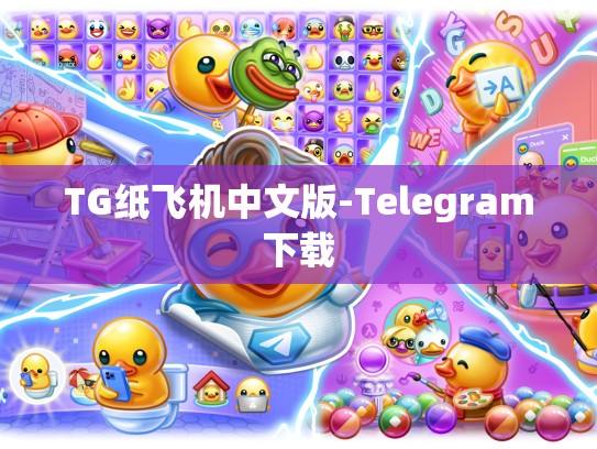 TG纸飞机中文版-Telegram下载