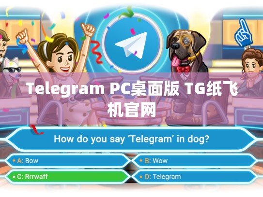 Telegram PC桌面版 TG纸飞机官网
