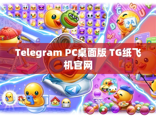 Telegram PC桌面版 TG纸飞机官网