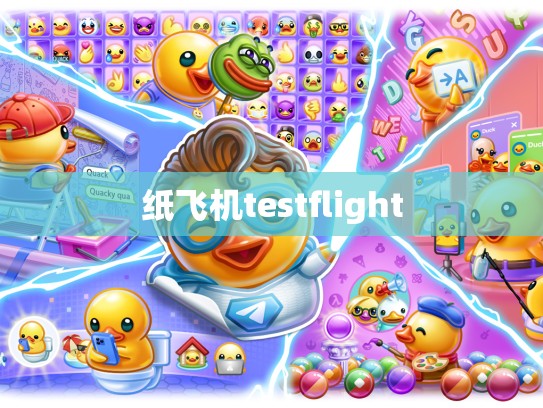 纸飞机testflight