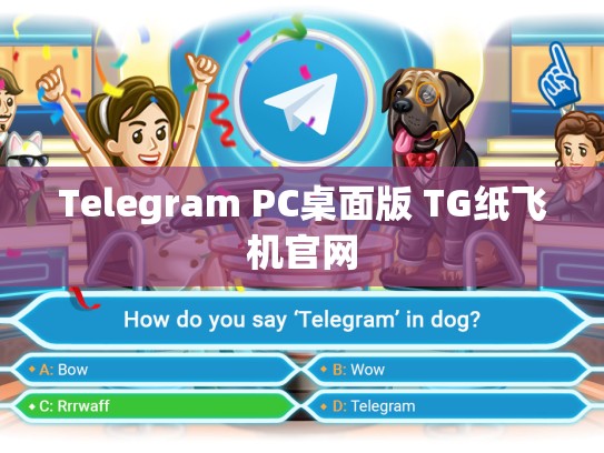 Telegram PC桌面版 TG纸飞机官网