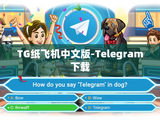 TG纸飞机中文版-Telegram下载