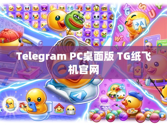 Telegram PC桌面版 TG纸飞机官网