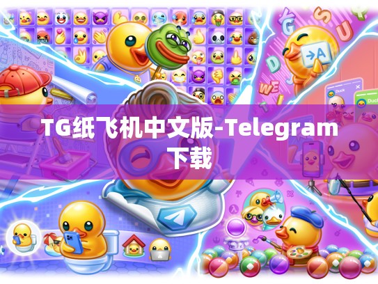TG纸飞机中文版-Telegram下载