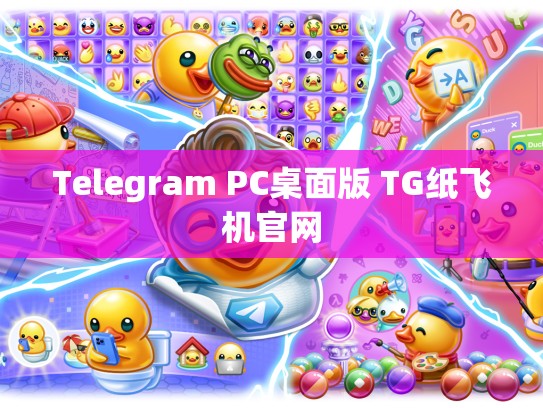 Telegram PC桌面版 TG纸飞机官网