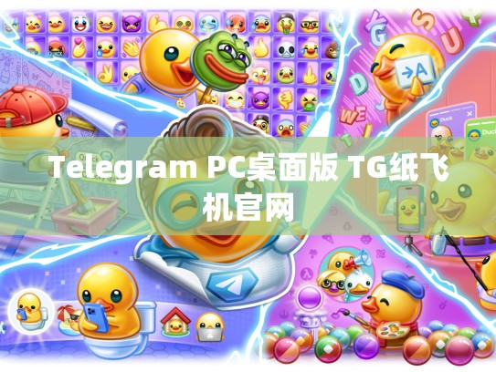 Telegram PC桌面版 TG纸飞机官网