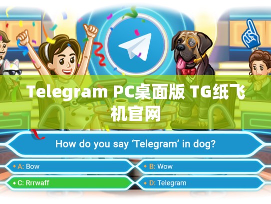 Telegram PC桌面版 TG纸飞机官网