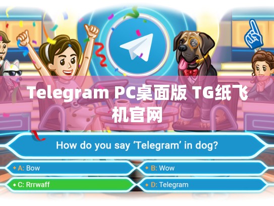 Telegram PC桌面版 TG纸飞机官网