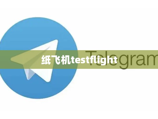 纸飞机testflight