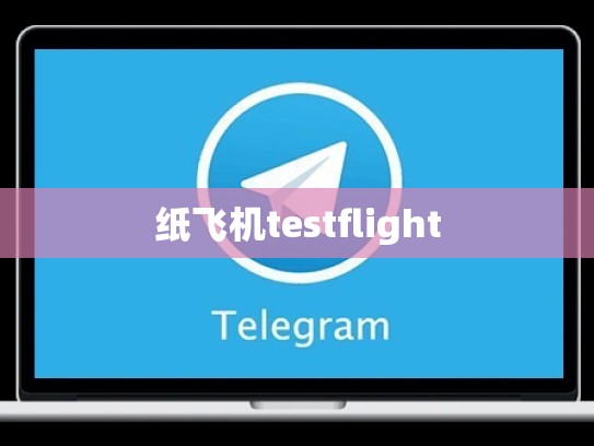 纸飞机testflight