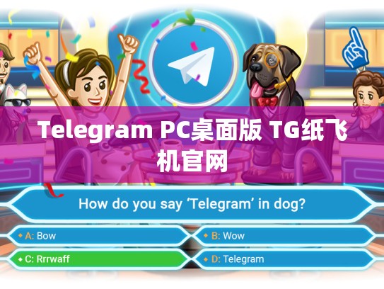 Telegram PC桌面版 TG纸飞机官网
