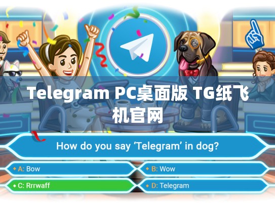 Telegram PC桌面版 TG纸飞机官网