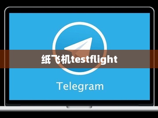 纸飞机testflight