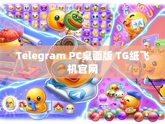 Telegram PC桌面版 TG纸飞机官网