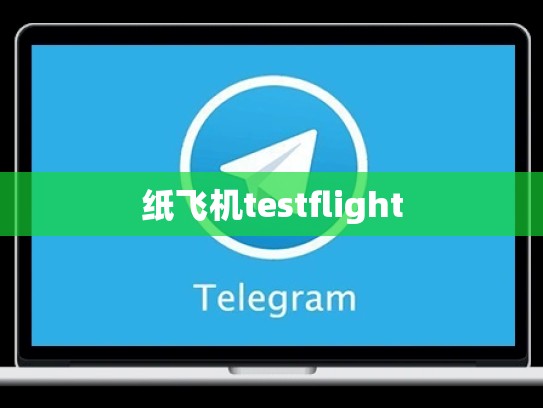 纸飞机testflight