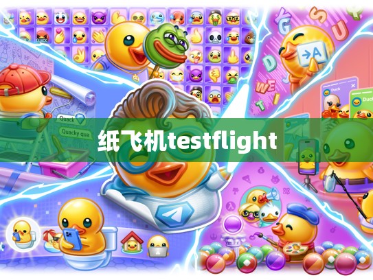 纸飞机testflight